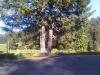 IMG-20110912-00162.jpg